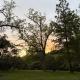The Mountains are Calling - Private, Guesthouse Retreat near Yosemite, Ahwahnee (fotografie 4)