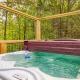 Twin Peaks Unit 1, Hot Tub, WIFI, 685 IN FREE Tickets each paid day, Sevierville