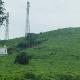 Rose vIlla Farm Stay, Paithalmala - Foto 4