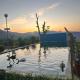 The Bayleaf Cafe and Shivalik Homestay, Nainital - Foto 3