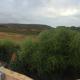 live the dream in vignola bay, Aglientu (fotografie 6)