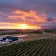 Hermanus - Escape Wines - House on Wine & Protea farm Lake Marina - Fotografie 1