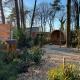 Forest Bungalow 1 - Hottub - Nature - Relax, Rheezerveen (fotografie 2)