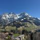 Zentrumsnahe Wohnung mit Blick, Adelboden - Fotografie 2