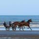 Le Petit Cabourg, Cabourg (fotografie 3)