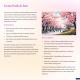 AsahiStay -Koiwa, Free parking O, Whole Family House, Japanese garden taste, Tokio - Zdjęcie 7