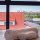 Stunning Mount Albert 2 Bed, Auckland - Fotografie 7