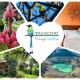 Tacacori EcoLodge, Alajuela City
