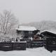 REN HANARE Hakuba