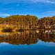 Millstream Farm Cottages, Dullstroom (foto 9)