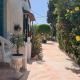 Cactus Living, Ialisos (foto 7)