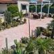 Cactus Living, Ialisos (foto 5)
