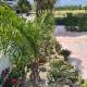 Cactus Living, Ialisos (foto 2)