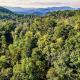 The Blessing Cabin by Avada Properties, Sevierville (foto 5)