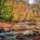 The Blessing Cabin by Avada Properties, Sevierville (foto 8)