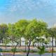 Totto Homestay, Hanoi (foto 4)