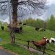 Baita Marianna - Relax in Quincinetto, Quincinetto (fotografie 3)