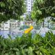 La Vie Riche Holiday Homes - Cozy 1BR Apartment near MOA, Manila - Fotografie 7