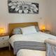 A1 Spacious 1 BR Apartment