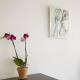 Tweede Laurierdwarsstraat Apartment, Amsterdam (foto 7)