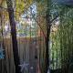 Bamboo garden, Nea Iraklia (fotografie 5)