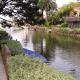 Venice Canals Contemporary, unique wildlife, amazing reviews, Los Angeles - Foto 2