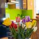 Ferienhaus Am Bodensee Mit Garten Und Terrasse, Radolfzell am Bodensee - Photo 4
