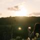 Rainforest Sunsets by Tiny Away Kuranda - Fotografie 6