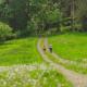 Marrington Lodge, Chirbury (foto 10)