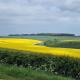 Barn on the Wolds, Yorkshire, Tibthorpe - Fotografie 6