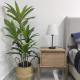 New apartment on the ground floor in CUN, Cancún - Foto 8