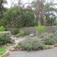 Honeyeater Cottage