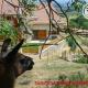 Maison cosy avec spa, sauna et lamas à proximité de Roanne - FR-1-496-23, Saint-André-dʼApchon
