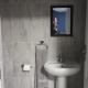 Budais guest lodge, Kempton Park (fotografie 8)