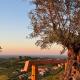 Il Tramonto - Deluxe Apartments, Roncofreddo (zdjęcie 7)