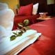 Elsjes Guesthouse, Kempton Park (fotografie 7)