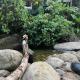 บ้านสวนเรไร คีรีวง รีสอร์ต - Bansuanrayrai Khiriwong Resort