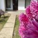 KAFAL TREE Home Stay - PET FRIENDLY, Bhowāli - Photo 3