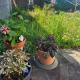 Gemütliche 4-Zimmer Wohnung mit Garten, Äpfingen - Kuva 2