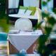 Hotel La Pigna, Marina di Pietrasanta (Foto 4)