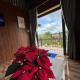 28 Homestay, Ấp Xuân An (foto 2)