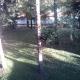 Apartman Jungic, Hiseti (foto 3)