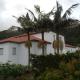 Tropical Fruit Garden, Velas (Foto 5)