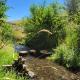8 Mile Farm Bed & Breakfast, The Dalles (fotografie 5)
