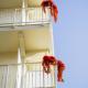Residence Rimini Mare, Rimini (photo 2)