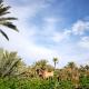 Lodge Hara Oasis, Agdz (fotografie 3)
