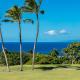 Wailea Ekolu 1510 by Coldwell Banker Island Vacations - Foto 6