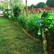 AJ Vacational Villa Rajgarh, Alwar, Mālākhera - 写真 1