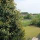 Residenza Adele, Porpetto (photo 10)