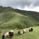 The Canuto Glamping, Tumbaya (fotografie 2)